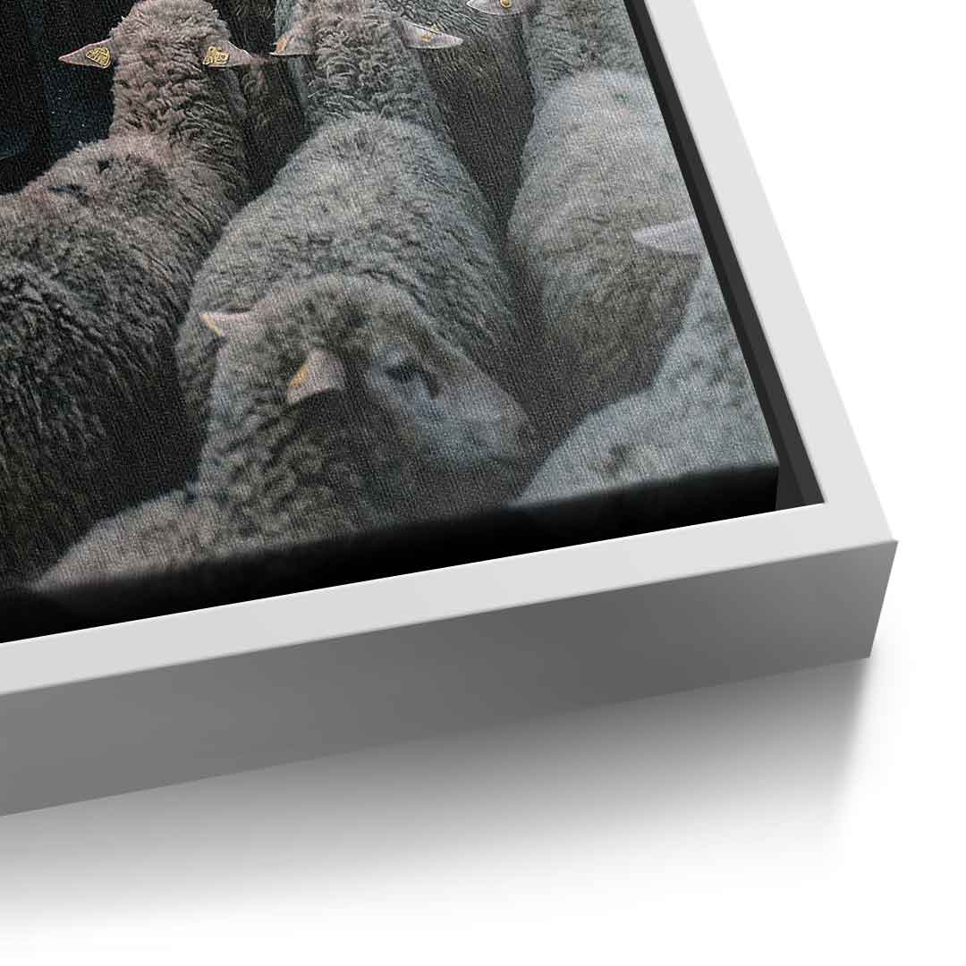 Porshe & Sheeps Leinwandbild Detailaufnahme Druckqualität
