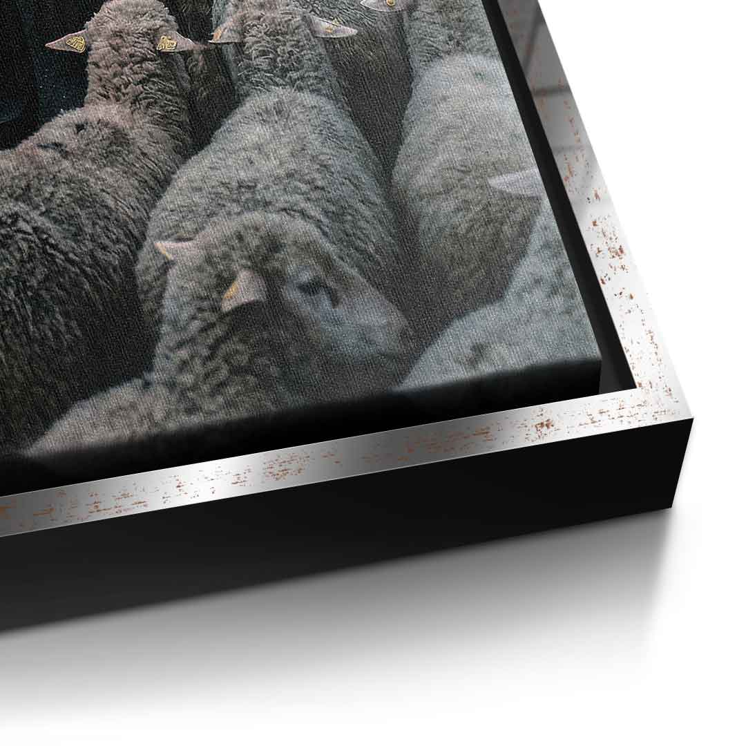 Porshe & Sheeps Leinwandbild Detailaufnahme Farben