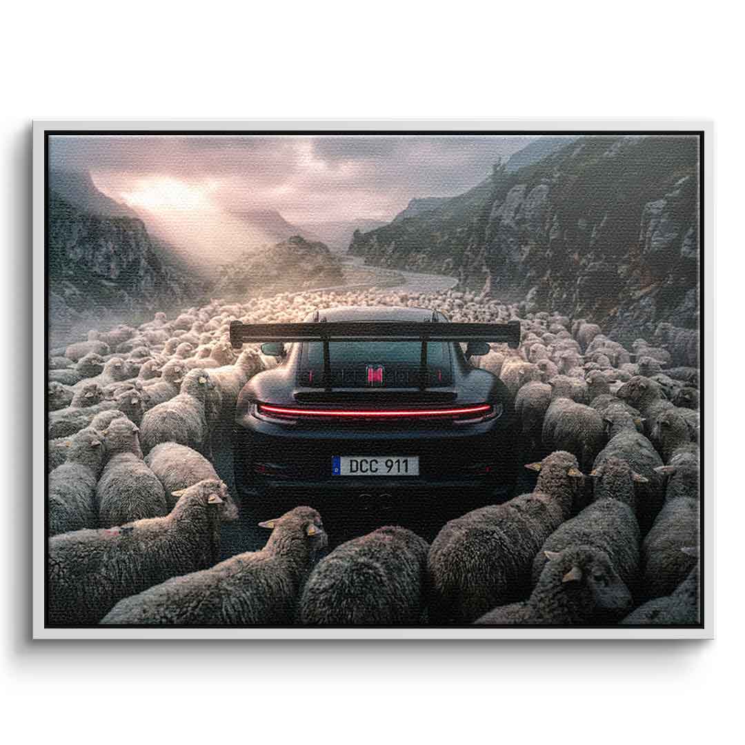 Porshe & Sheeps Leinwandbild mit weißem Rahmen