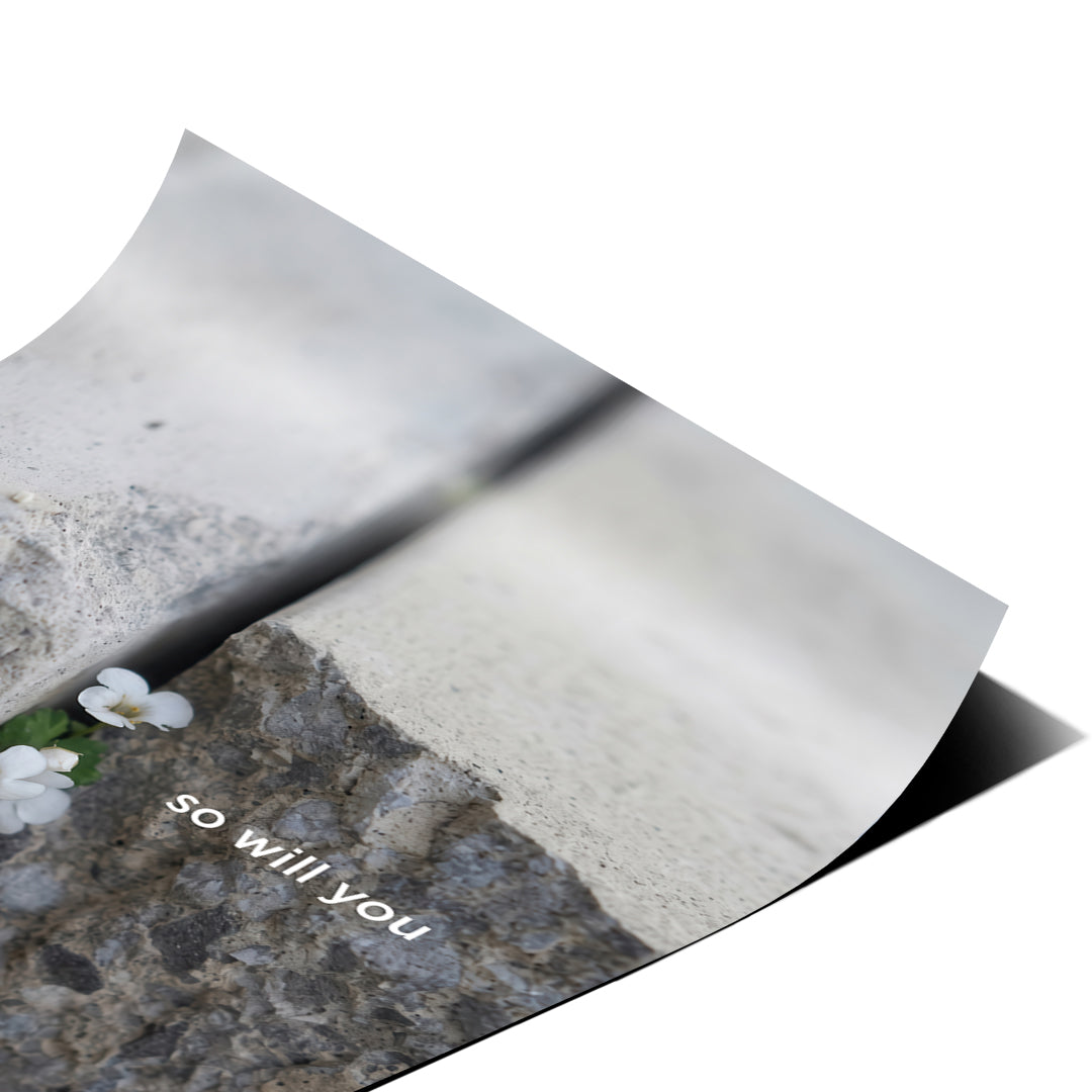 DOTCOMCANVAS Life finds a way Poster Detailansicht Nahaufnahme
