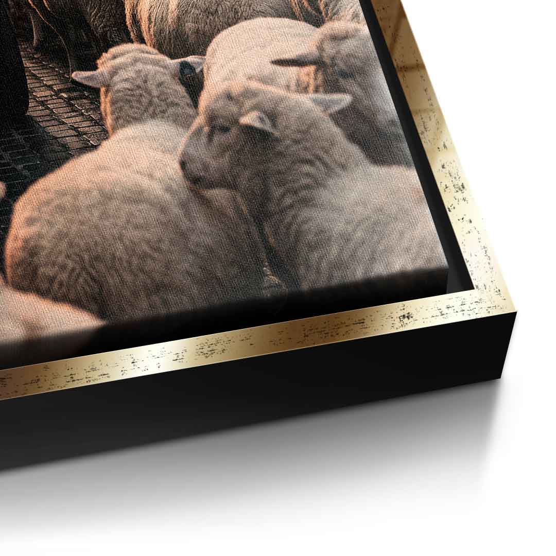 DOTCOMCANVAS Rolls Roys & Sheeps Leinwandbild Detailansicht goldener Rahmen