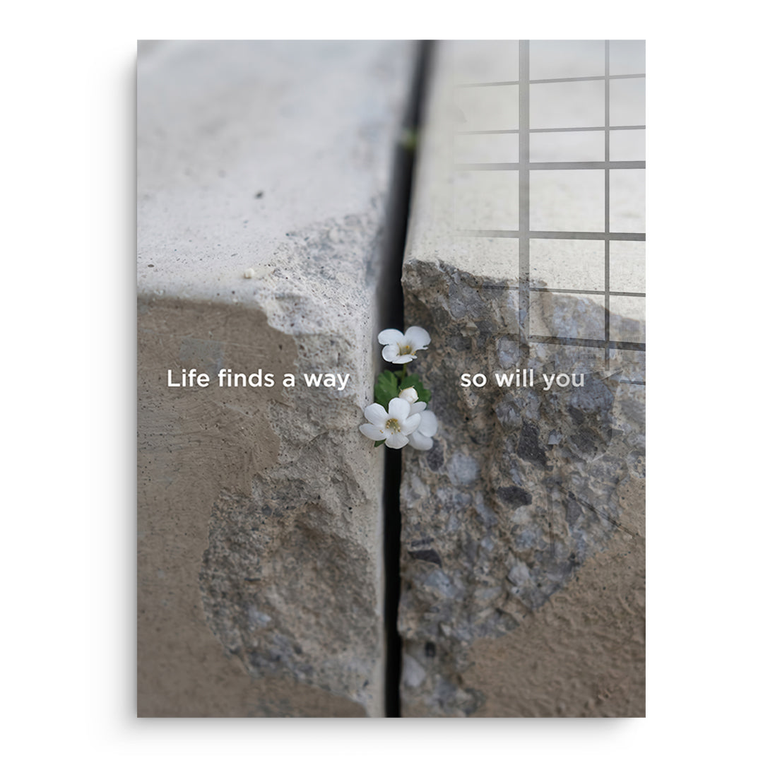 DOTCOMCANVAS Life finds a way Acrylglasbild Vorderansicht ohne Rahmen