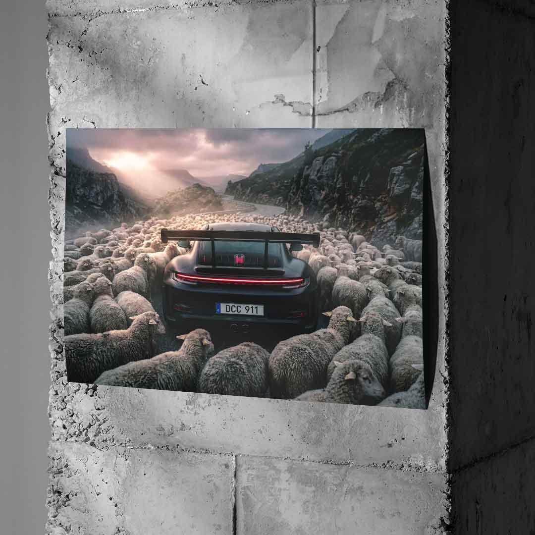 Porshe & Sheeps Poster an Betonwand