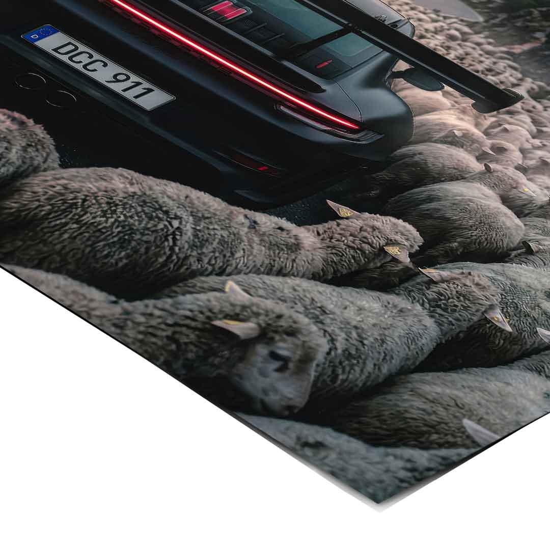 Porshe & Sheeps Poster Eckdetail