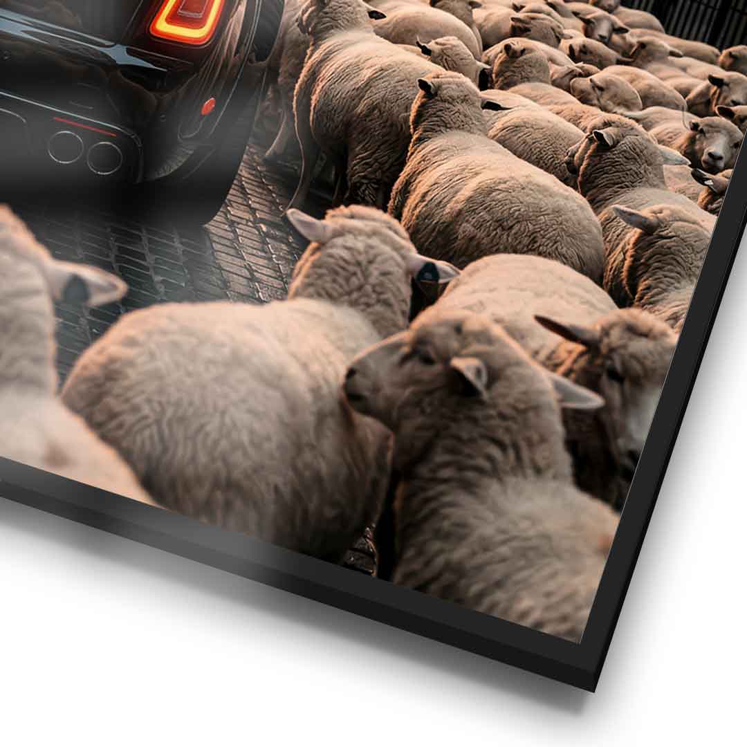 DOTCOMCANVAS Rolls Roys & Sheeps Poster Rahmendetail