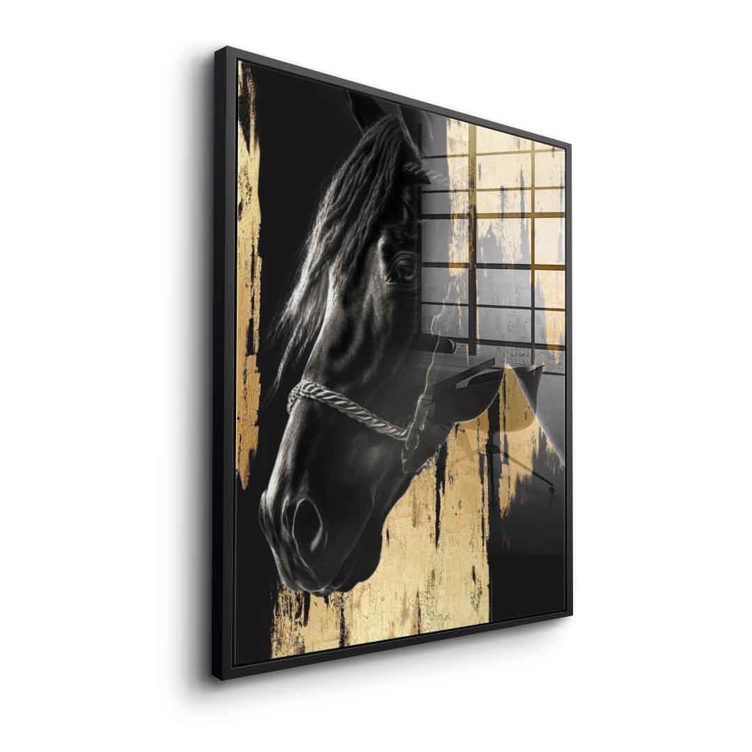 Luxury Horse - Szkło akrylowe