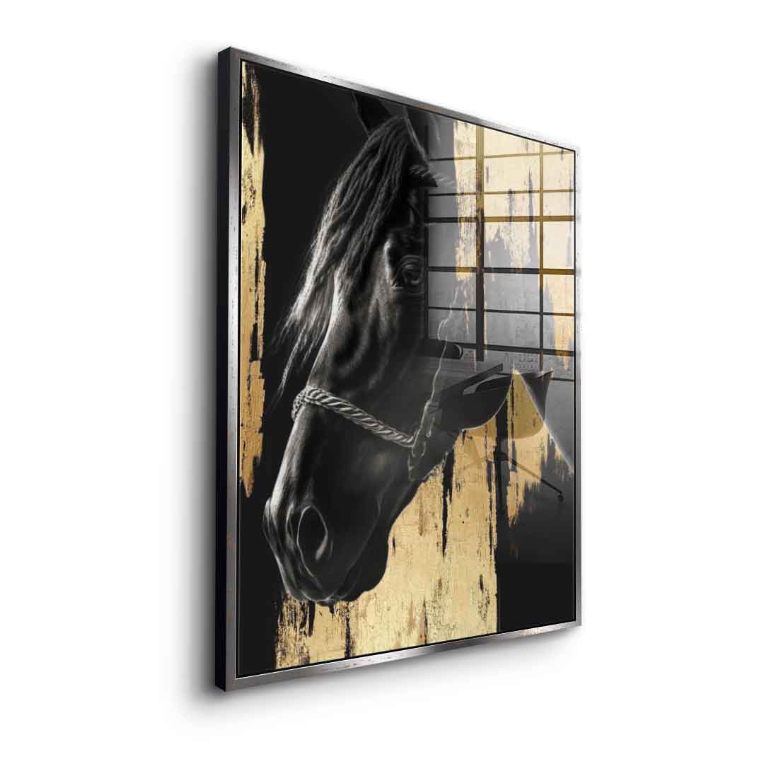 Luxury Horse - Szkło akrylowe