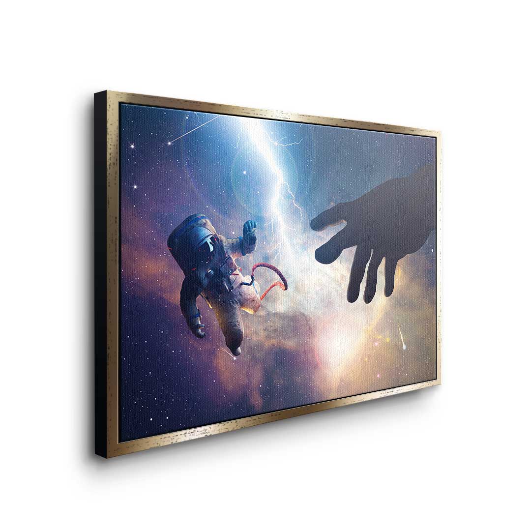 Michelangelo Universum
