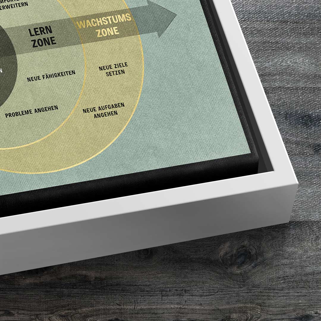 THE COMFORT ZONE | Square Edition