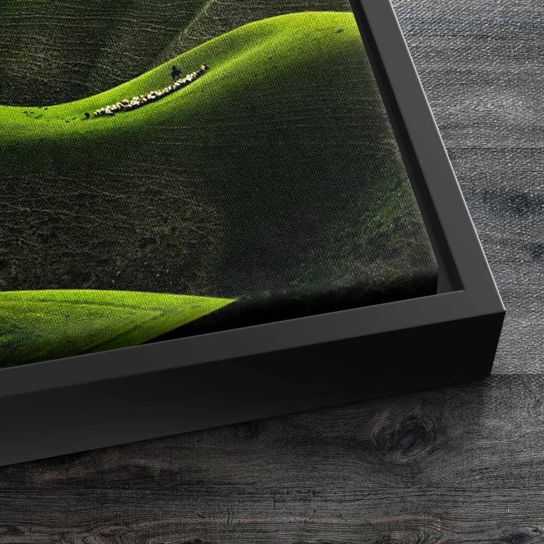 Alligator Landscape