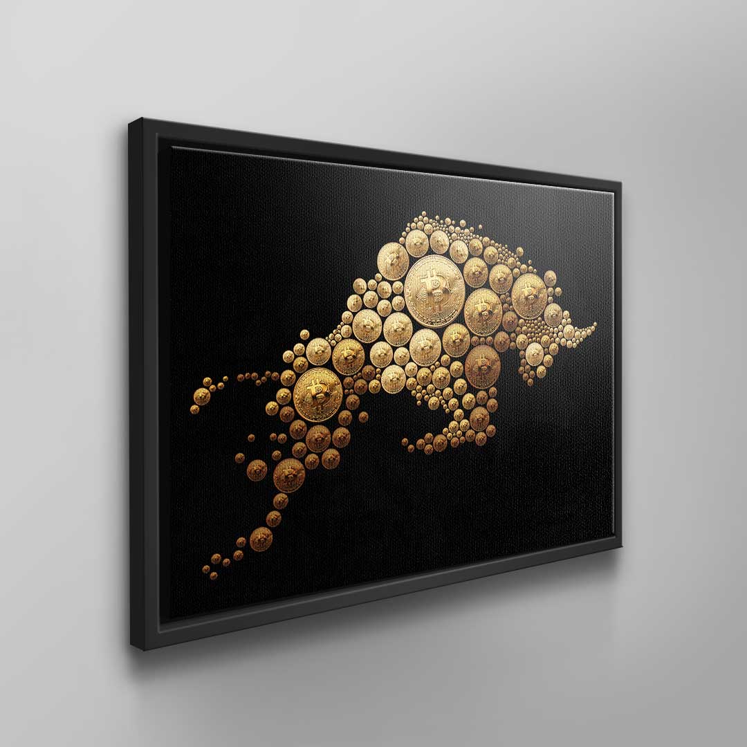 Bitcoin Bulle
