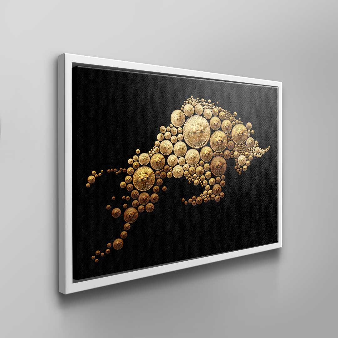 Bitcoin Bulle