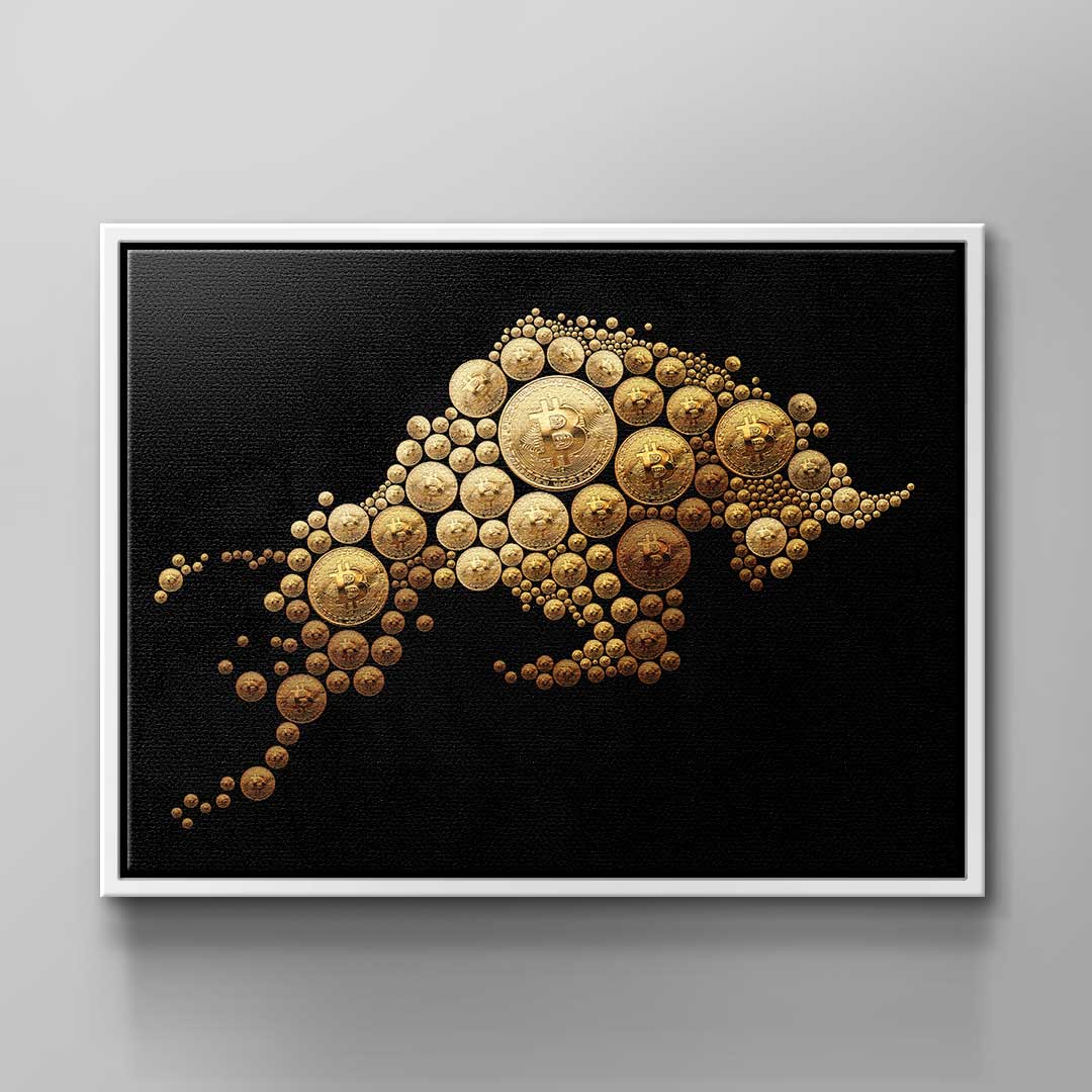 Bitcoin Bulle