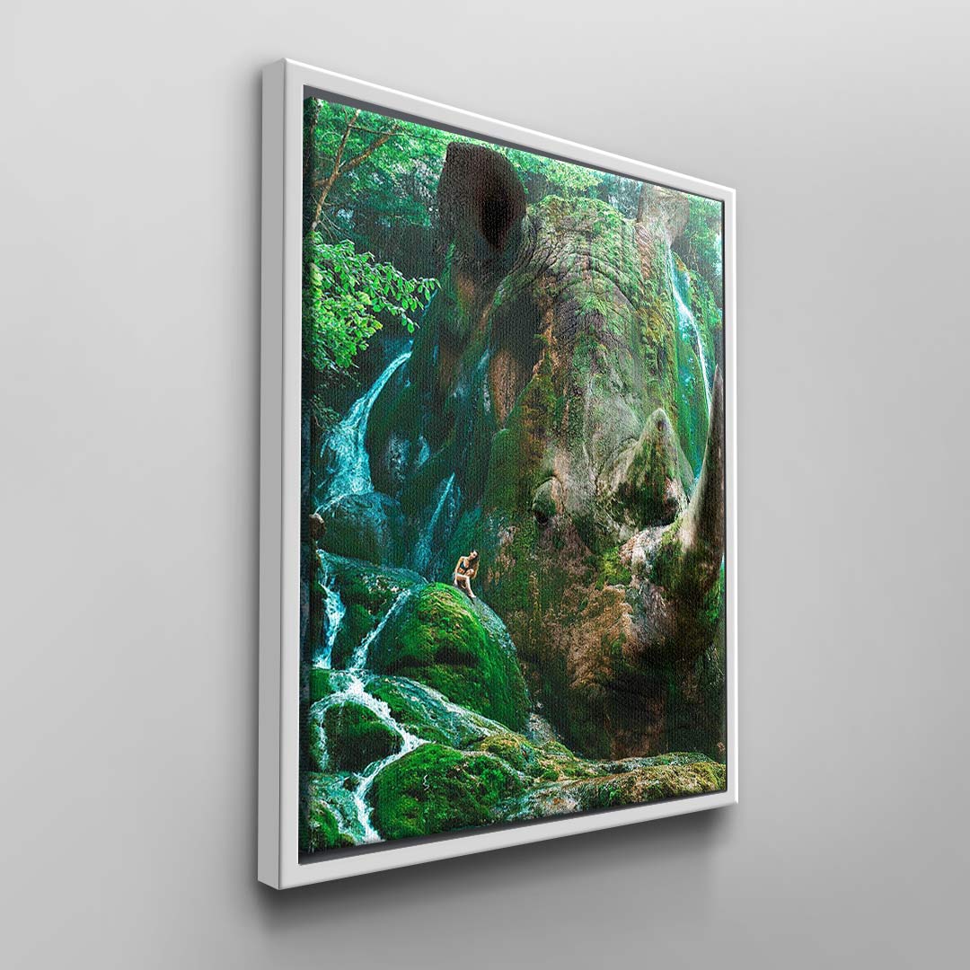Nashorn Nature