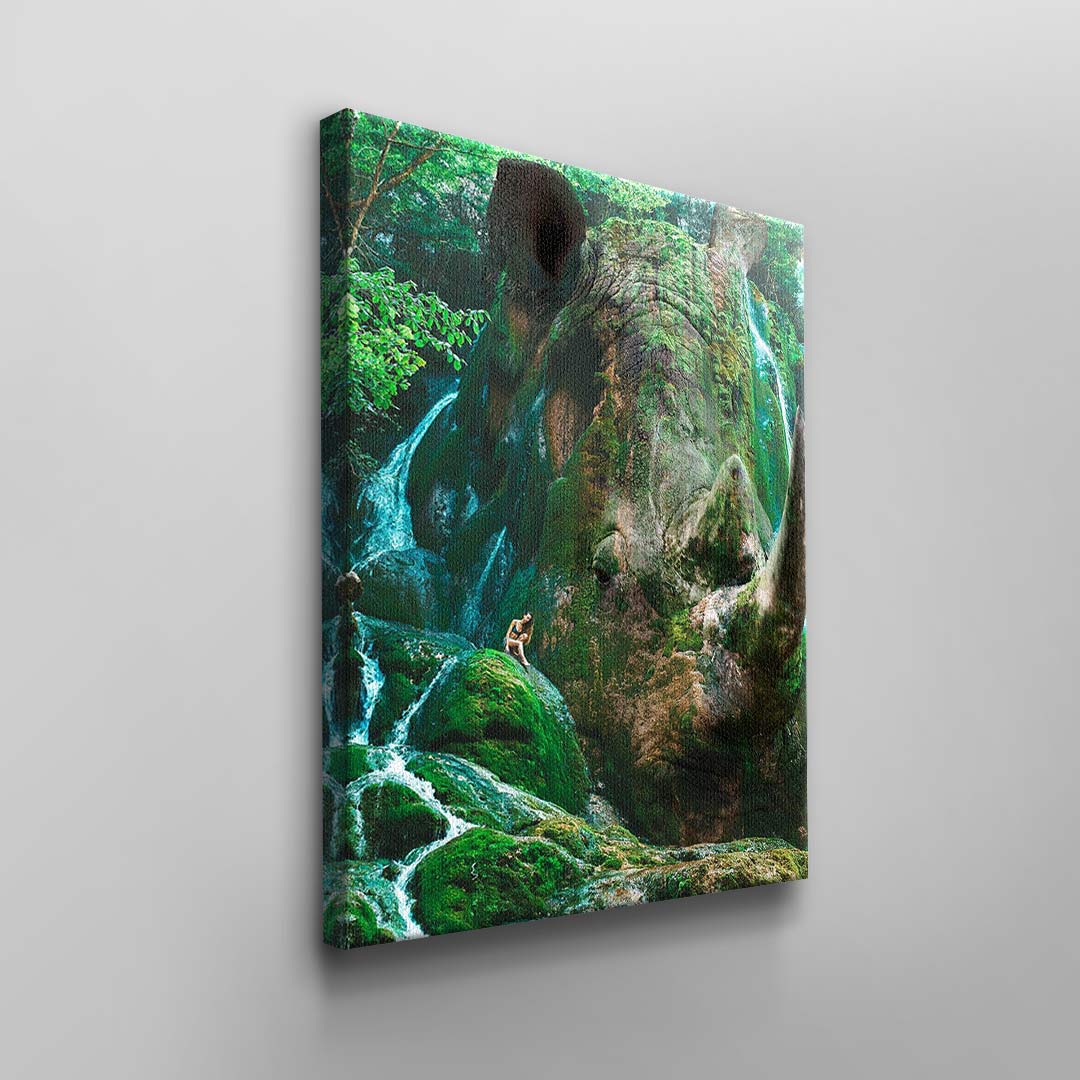Nashorn Nature