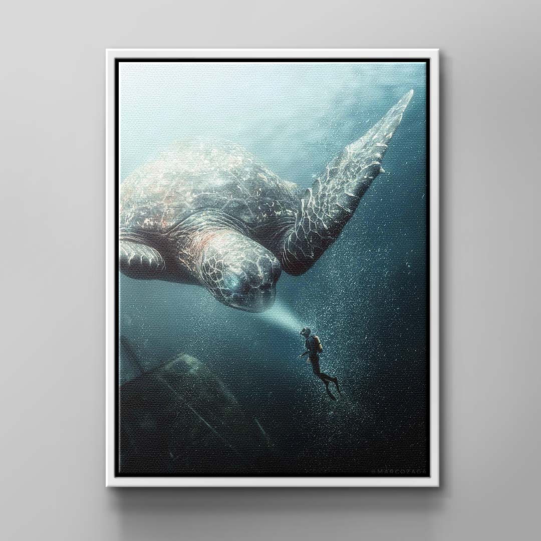 Underwater Meeting